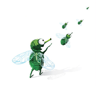 Funny fly. Cartoon character.Vector illustration  on isolated white background. 
