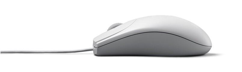 Computer Mouse