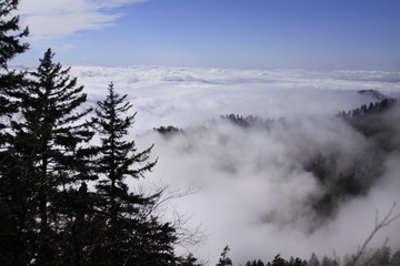 Above the clouds