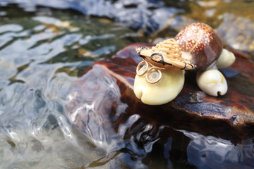 Image of a turtle made of shells. Handmade.