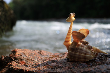 Image of a dragon made of shells. Handmade.