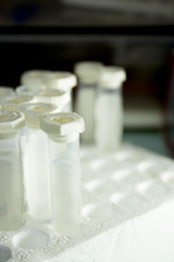 Vials for veterinary use to cure different diseases