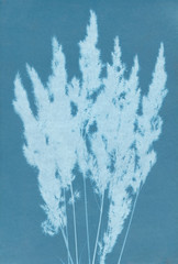 background plants inversion blue