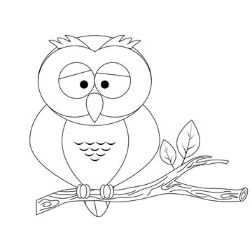 Colorless funny cartoon owl.