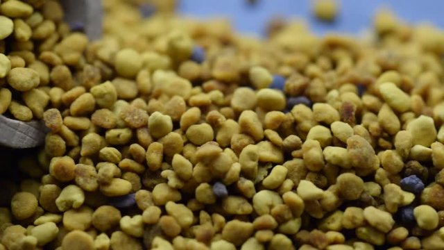 Silvana Comugnero Polline granulare Pa d'abella Bienenbrot Cvetni prah Bee Pollen d'api čebelarstvo Pan de abeja Перга Pain d'abeille 蜂花粉 Pierzga Byebrood פולן דבורים P&atilde;o de abelha video ビーポーレン