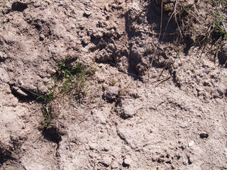 Trace On Ground Soil Texture Background Earth