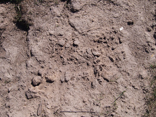 Soil Ground Texture Background Brown Earth Trace