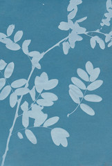 background plants inversion blue