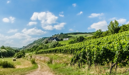 Weinberge und Weingut in Oberhausen an der Nahe