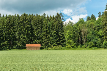 Fototapeta premium Beautiful Landscape with Wooden Hut on Meadow in Bavaria, Germany 