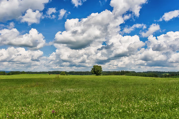 Idyllic landscape in Bavaria with field