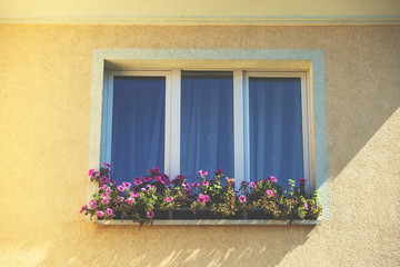 flowers in pots on the windows, toned