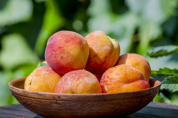 peaches in a bowl
