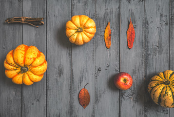 Autumnal Composition on Grey Rustic Wood Background