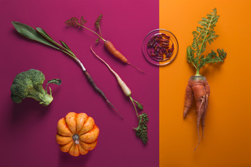 Creative Layout of Various Vegetables on Dual Color Background - obrazy, fototapety, plakaty