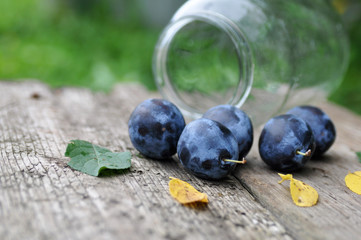 harvest purple plums for canning in a glass jar on a wooden background, yellow and green leaves. rustic