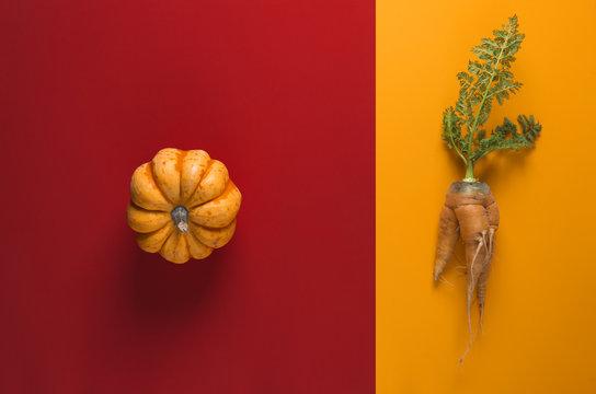 Creative Composition with Carrot and Pumpkin od Dual Color Background