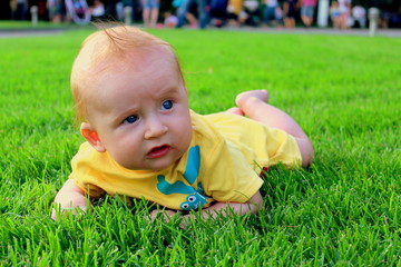 baby in grass