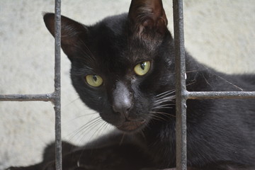 Whatch'ya Looking At?