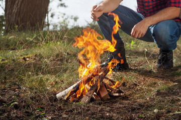 Burning campfire in the forest