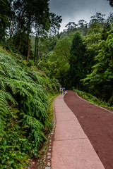 Caldeira Velha waterfall and pool at Sao Miguel - Azores Island, Portugal