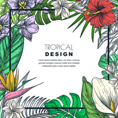 Tropical frame with palm leaves and flowers. Vector sketch illustration. Poster, banner or greeting card template.