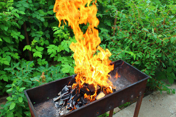 Burning wood and a beautiful flame in the brazier. Close-up. Background.