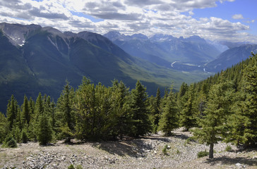 Fototapeta na wymiar Canadian Rocky Mountains View From The Top