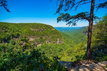 Canyon overlook in scenic Appalachia