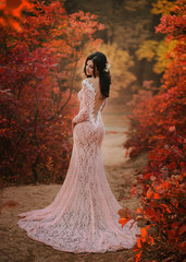 A brunette girl with long hair, in a sumptuous pink dress with a long train and an open, seductive back. The lady poses against the backdrop of a fabulous autumn landscape, in red and orange shades