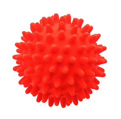 Red ball for dog on white background. Pet toy