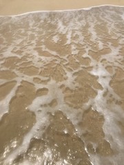 Ocean 