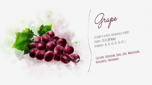 The card about Grape and its description