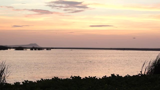 Golondrinas lago