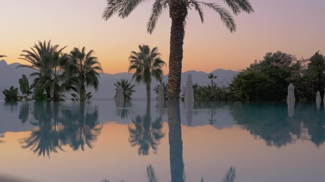 Mirror surface of a pool reflecting palm trees and flower bush behind it. Misty mountain silhouettes can be seen in the background against light sky