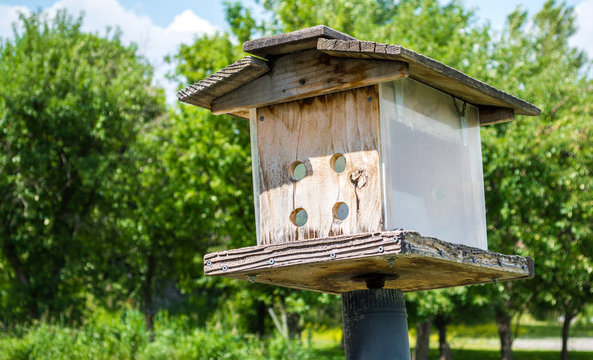 weathered wooden homemade birdhouse on a crooked pole with lush green trees in the background on a sunny summer day  with copy space