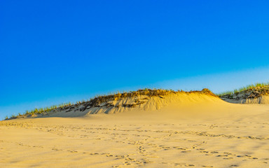 Sand Dunes and Grass of the Provincelands Cape Cod MA US.