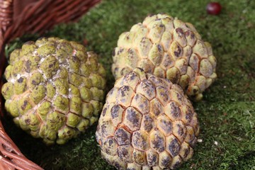 sugar apple at street food