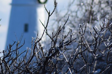 ice branches lighthouse