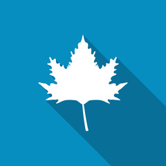 Maple leaf icon