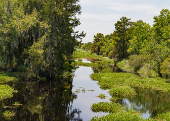 Swamp Passage