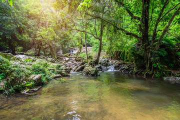 tropical nature in sarika waterfall at nakhon nayok, Thailand