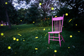 Fireflies flying outdoors,  long expsure timelapse