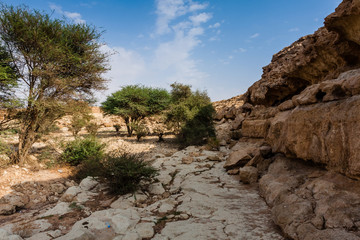 Fototapeta na wymiar A wadi near Abu Jifan Fort, Riyadh Province, Saudi Arabia