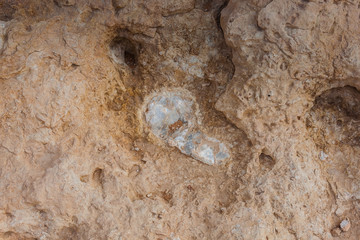 Quartz inclusions in limestone