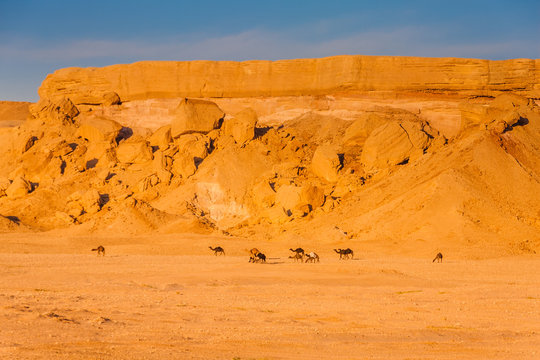 A rock cliff north-east of Riyadh, Saudi Arabia