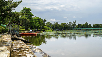 Fototapeta premium A large pond in the park and a boat in the pool.