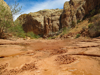 Cleared Path of the Latest Desert Flash Flood, Still Drying