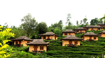 Mae Aw or Rak Thai Village in Pai district, a Chinese settlement in Mae Hong Son province, Northern Thailand.