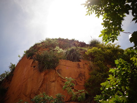 mountain